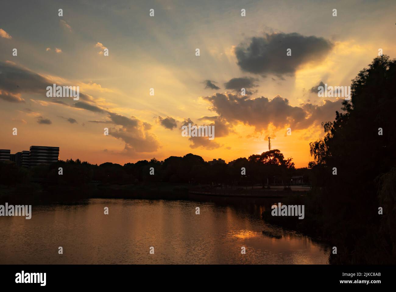A silhouette shot of trees around the lake under orange sunset sky ...