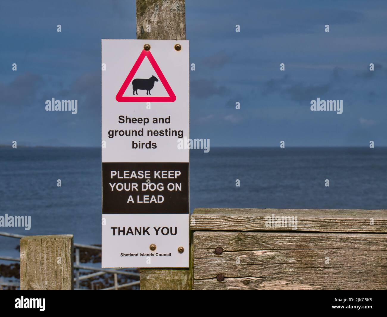 A black and white rectangular sign with a red warning triangle on a coastal path warns walkers about sheep and ground nesting birds Stock Photo