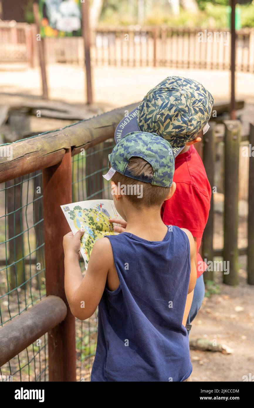 Two young boys looking at a map in front of a wooden fence in the zoo. Stock Photo