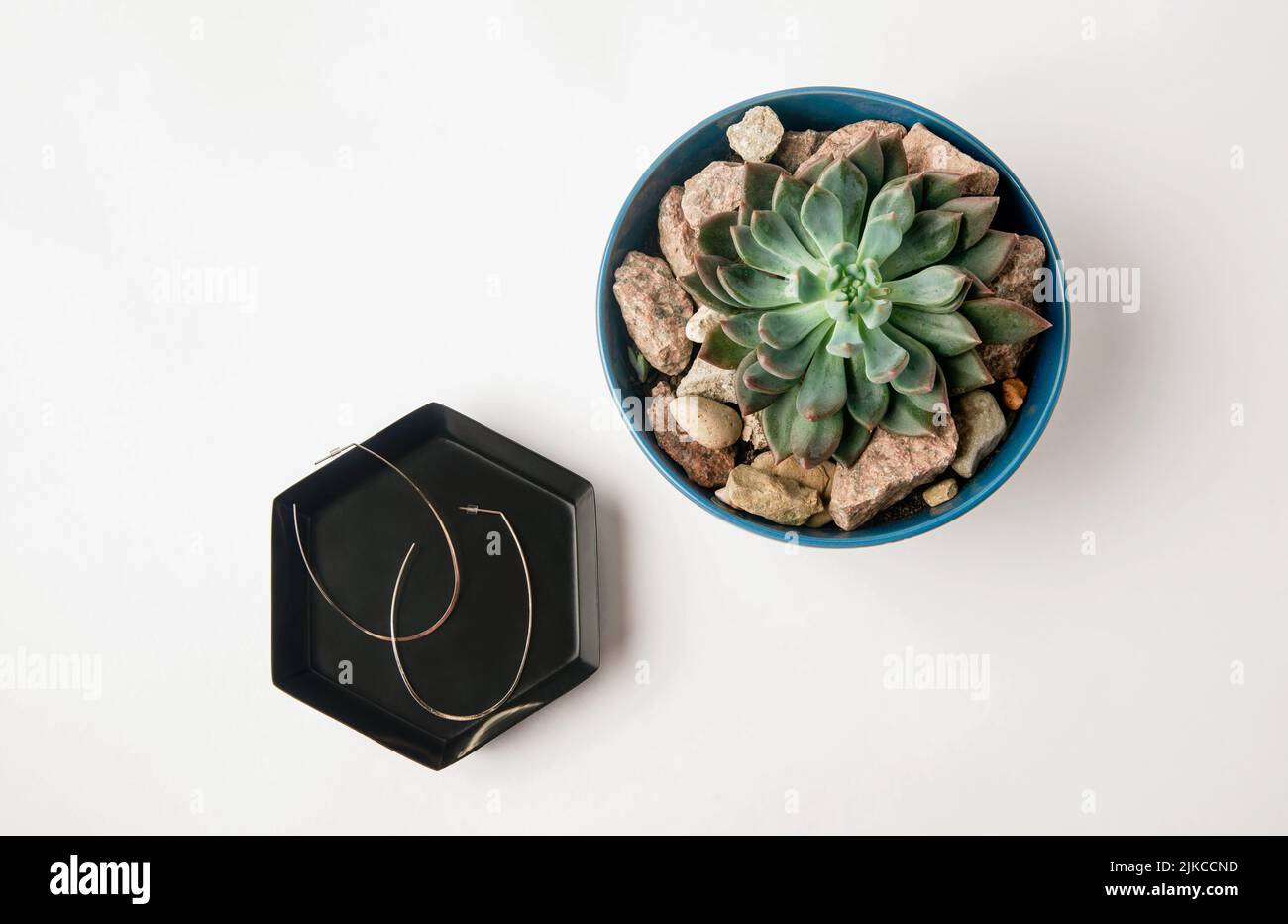 A closeup of an Echeveria in a pot and a box of earrings on the side Stock Photo