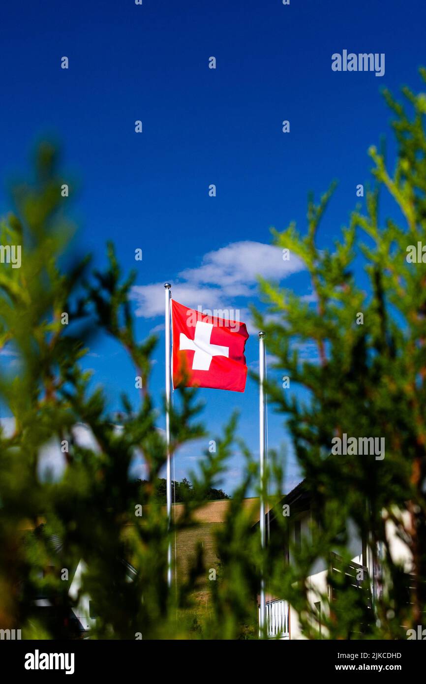 The national flag of Switzerland waving in the wind Stock Photo - Alamy