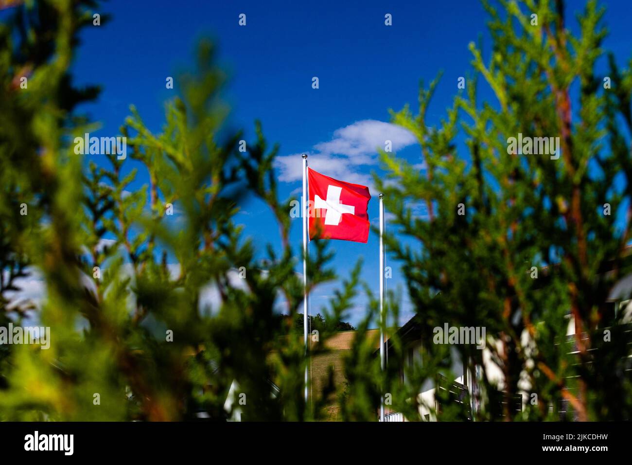 The national flag of Switzerland waving in the wind Stock Photo - Alamy