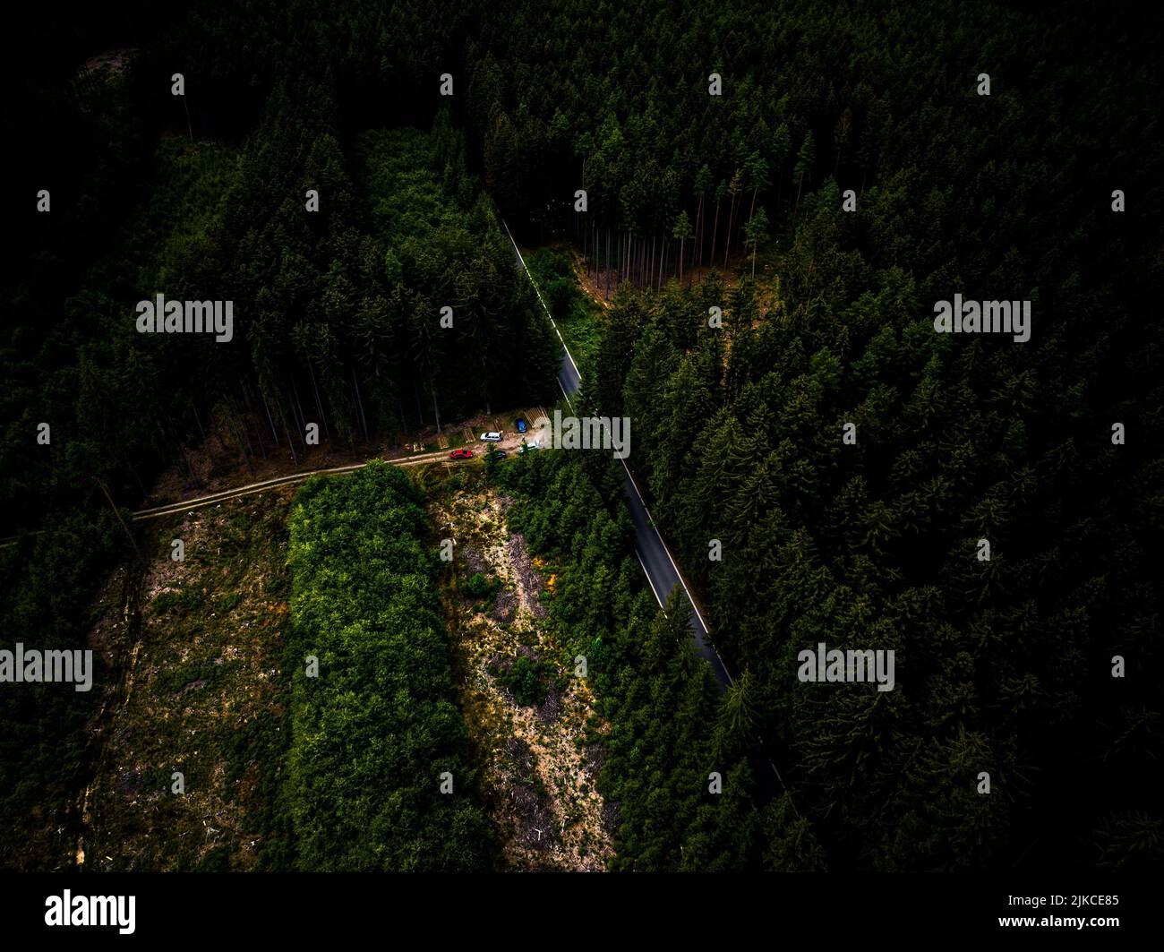An aerial view of a road surrounded by dense trees Stock Photo - Alamy