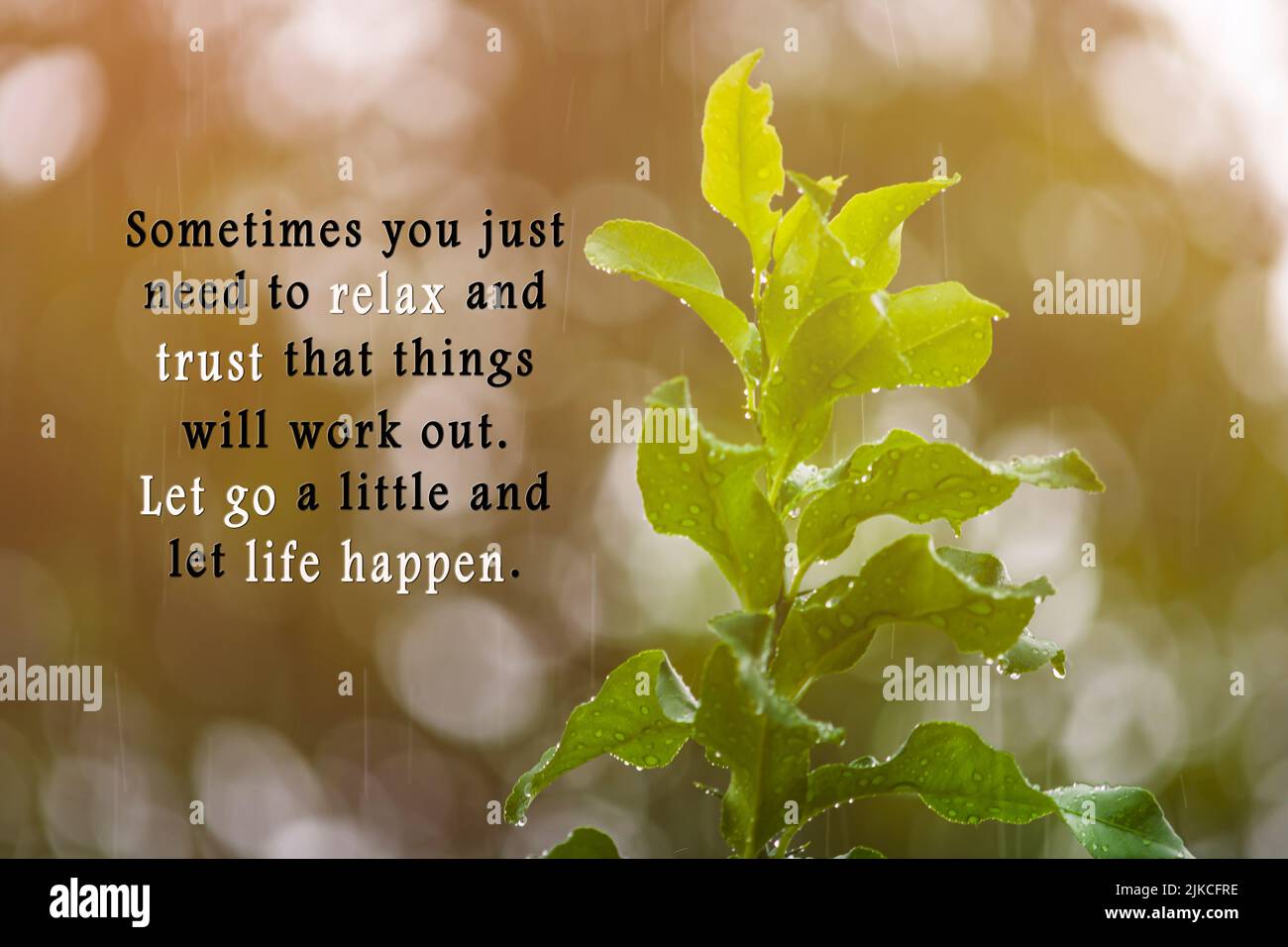 Sometimes You Have To Let Go