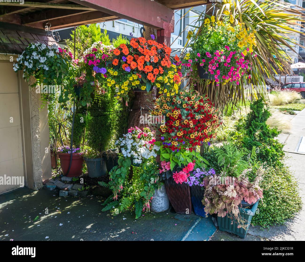 Different colorful flowers in hanging baskets in West Seattle, Washington. Stock Photo