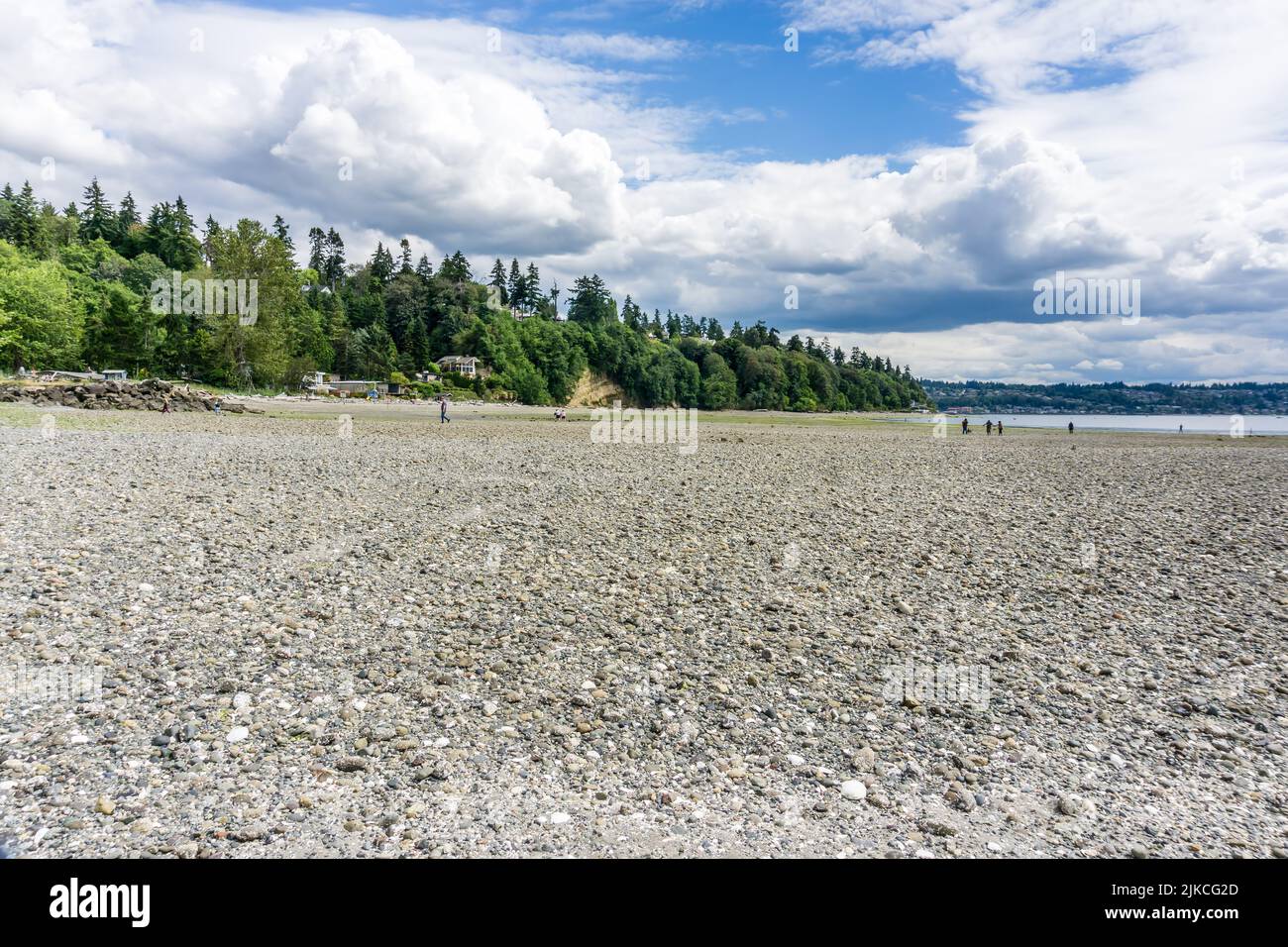 A view of the shoreline at Saltwater State Park in Des Moines, Washington. Stock Photo