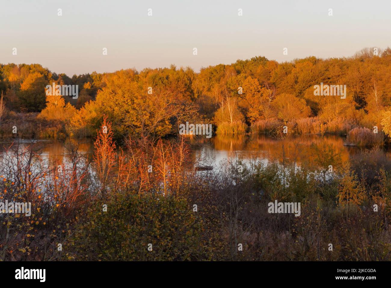 The beautiful scenery of autumn forest trees reflected on lake water ...