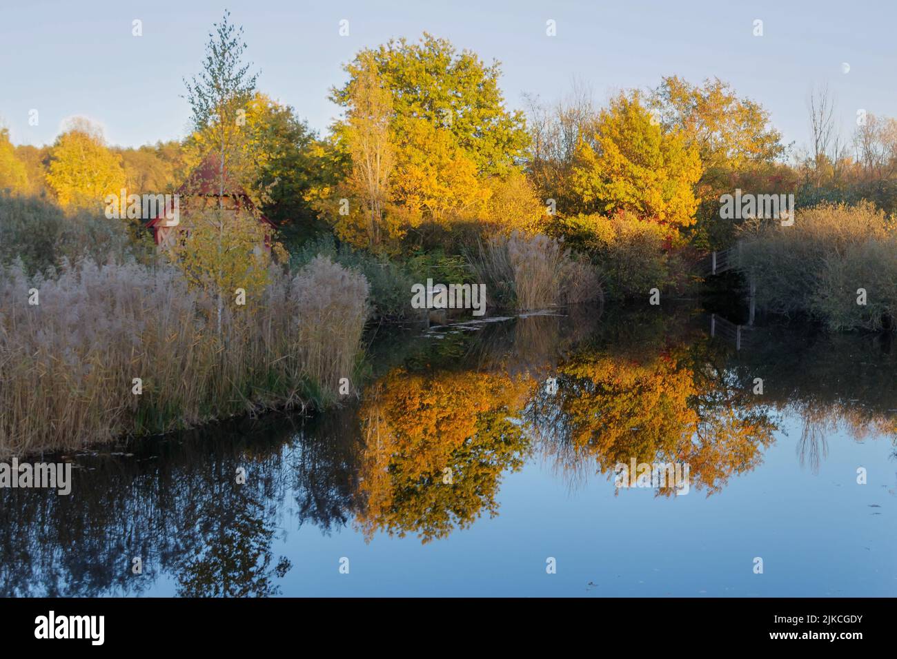 The beautiful scenery of autumn forest trees reflected on lake water ...