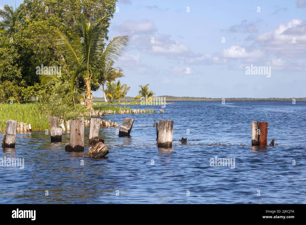 A beautiful landscape with the Zapata swamp in Cuba Stock Photo