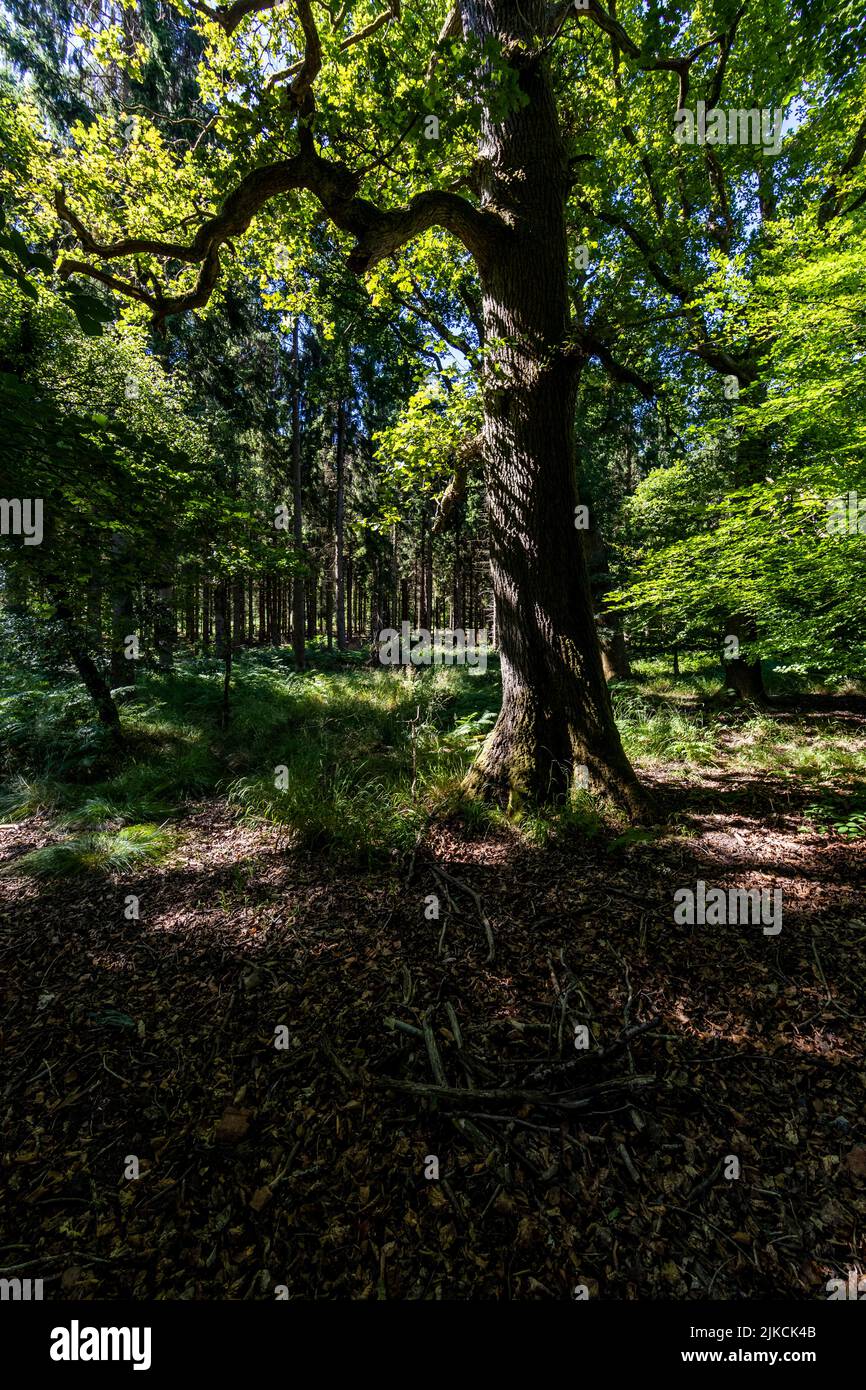 Indutrial archeology hi-res stock photography and images - Alamy