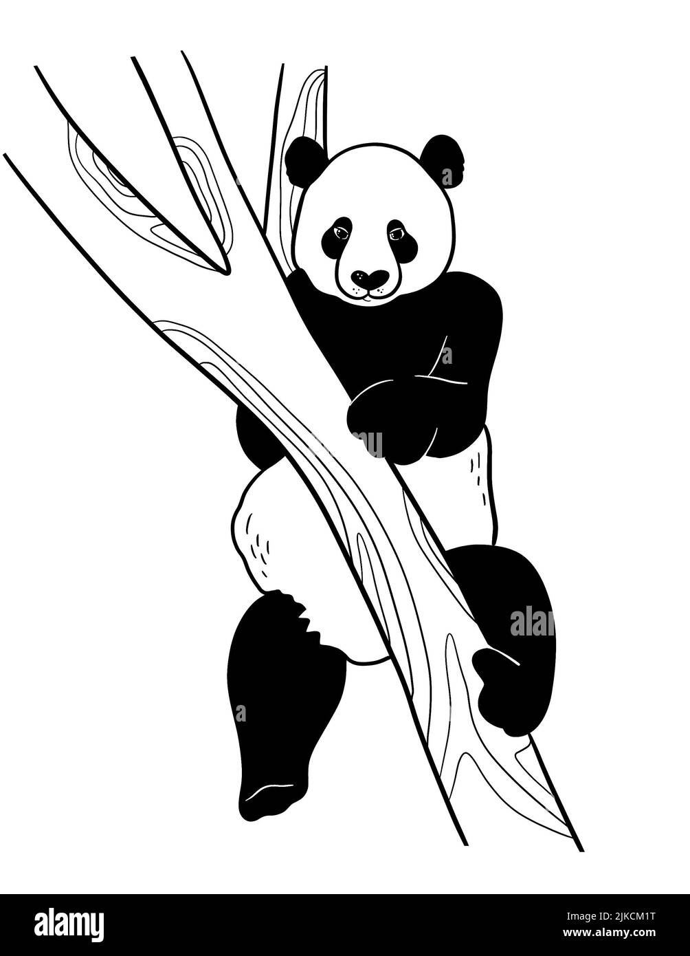 Black panda in cartoon style on white background Stock Photo - Alamy