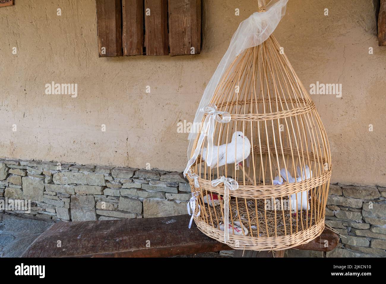Image showcasing Replica of a historical cage. Two white pigeons in an intertwined cage ...