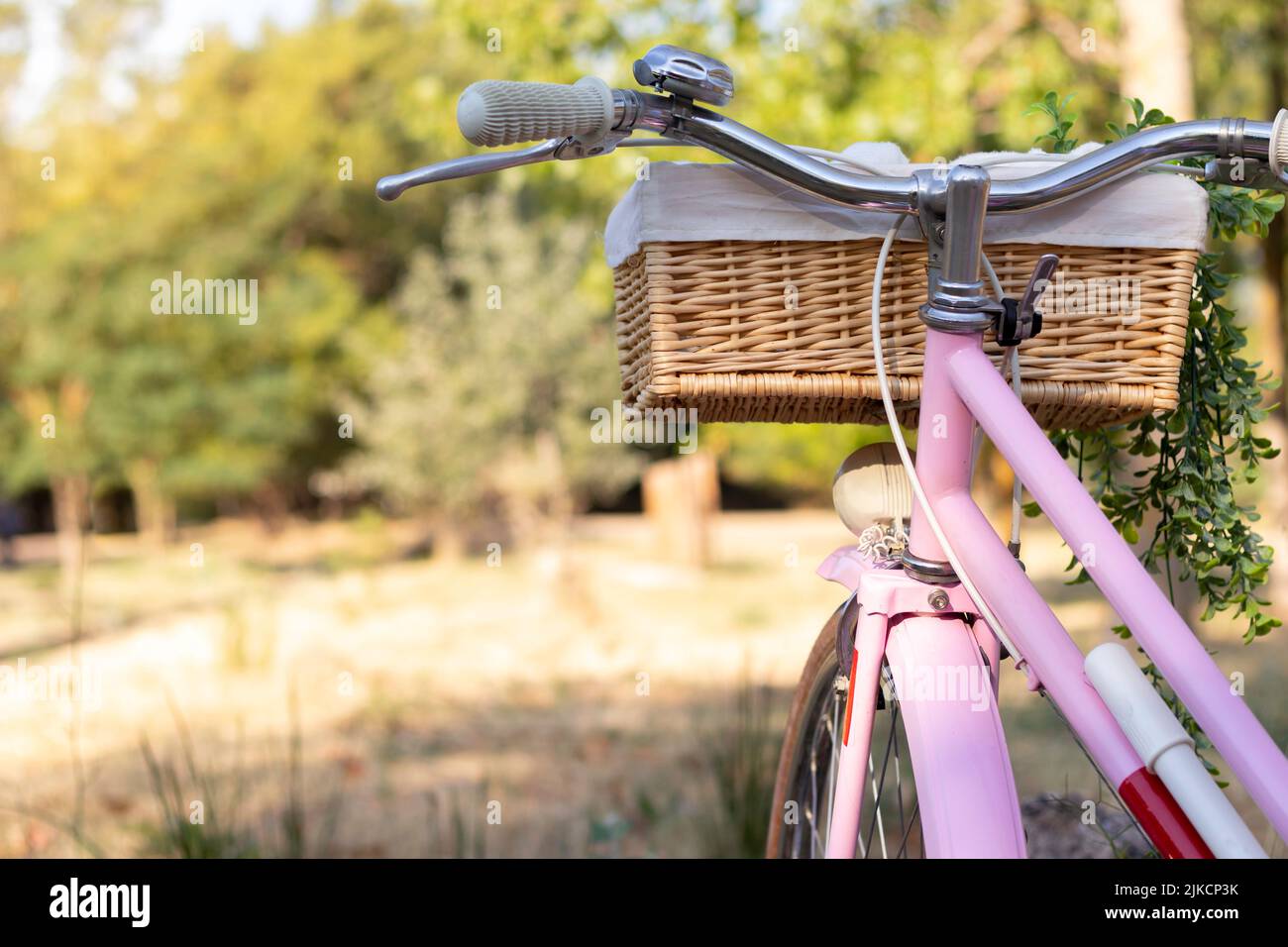Back close up view of pink retro bicycle with park background sorrounded by natural enviroment Stock Photo