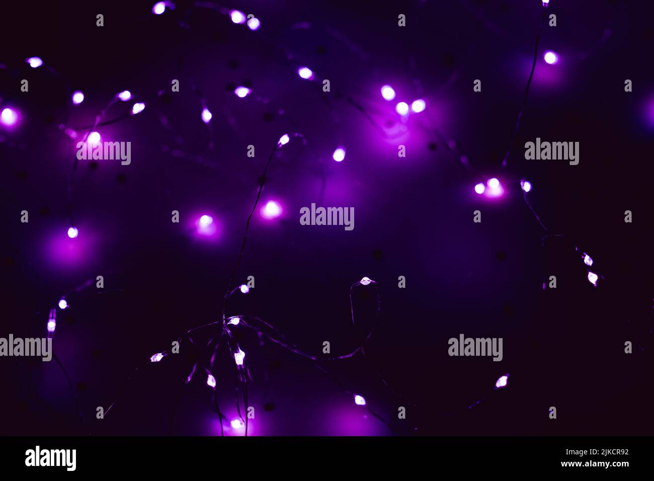 cold white led string lights defocused purple glow Stock Photo