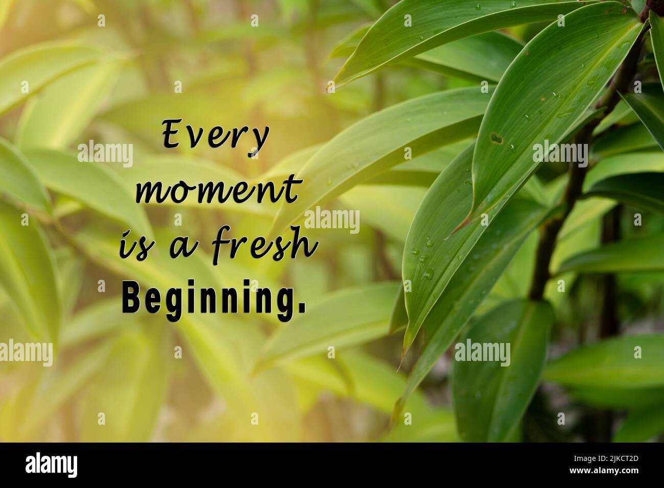 Motivational quote with fresh nature and blurred green leaf background