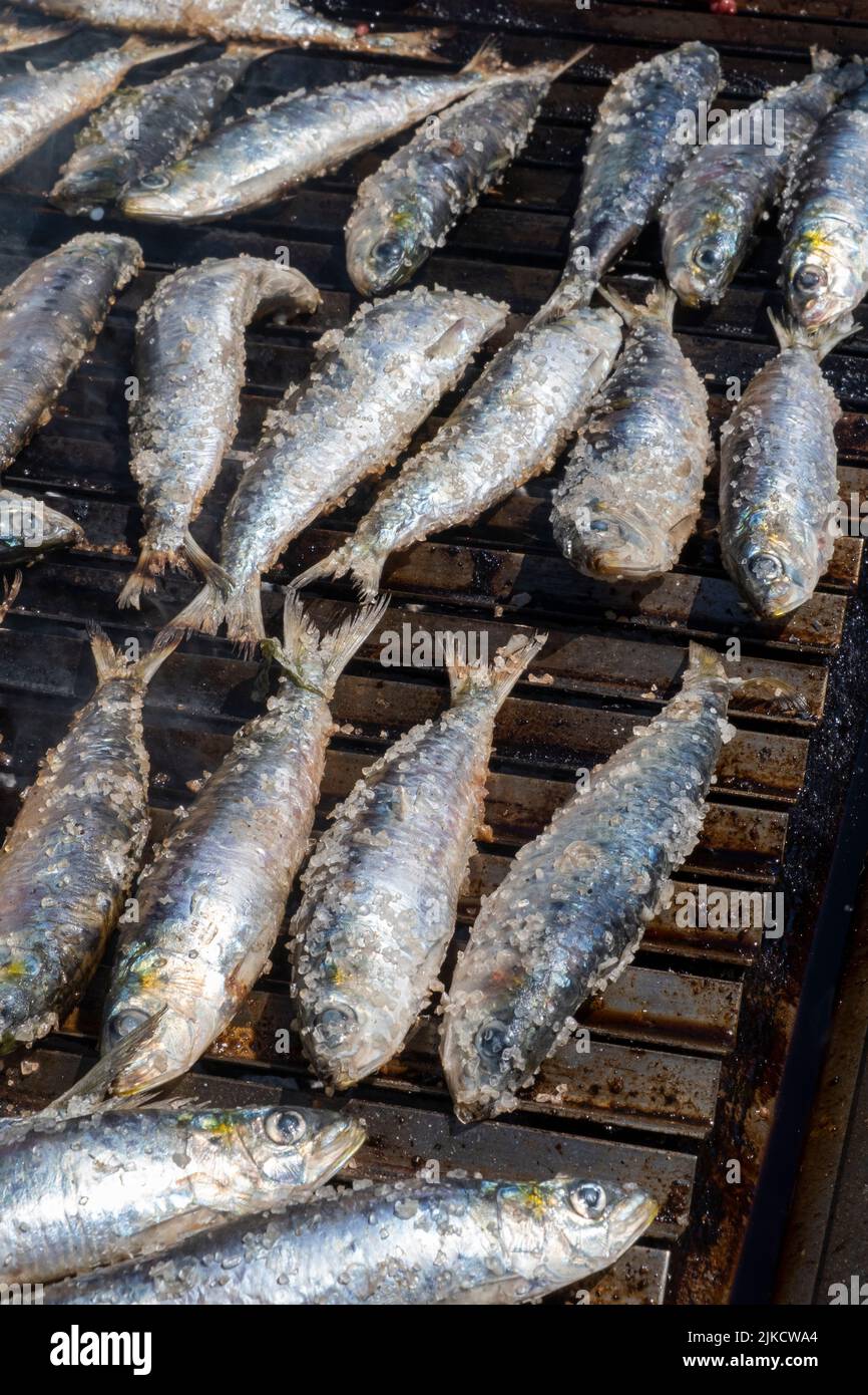 Selective focus, fresh sardines grilled on a woodfired grill Stock