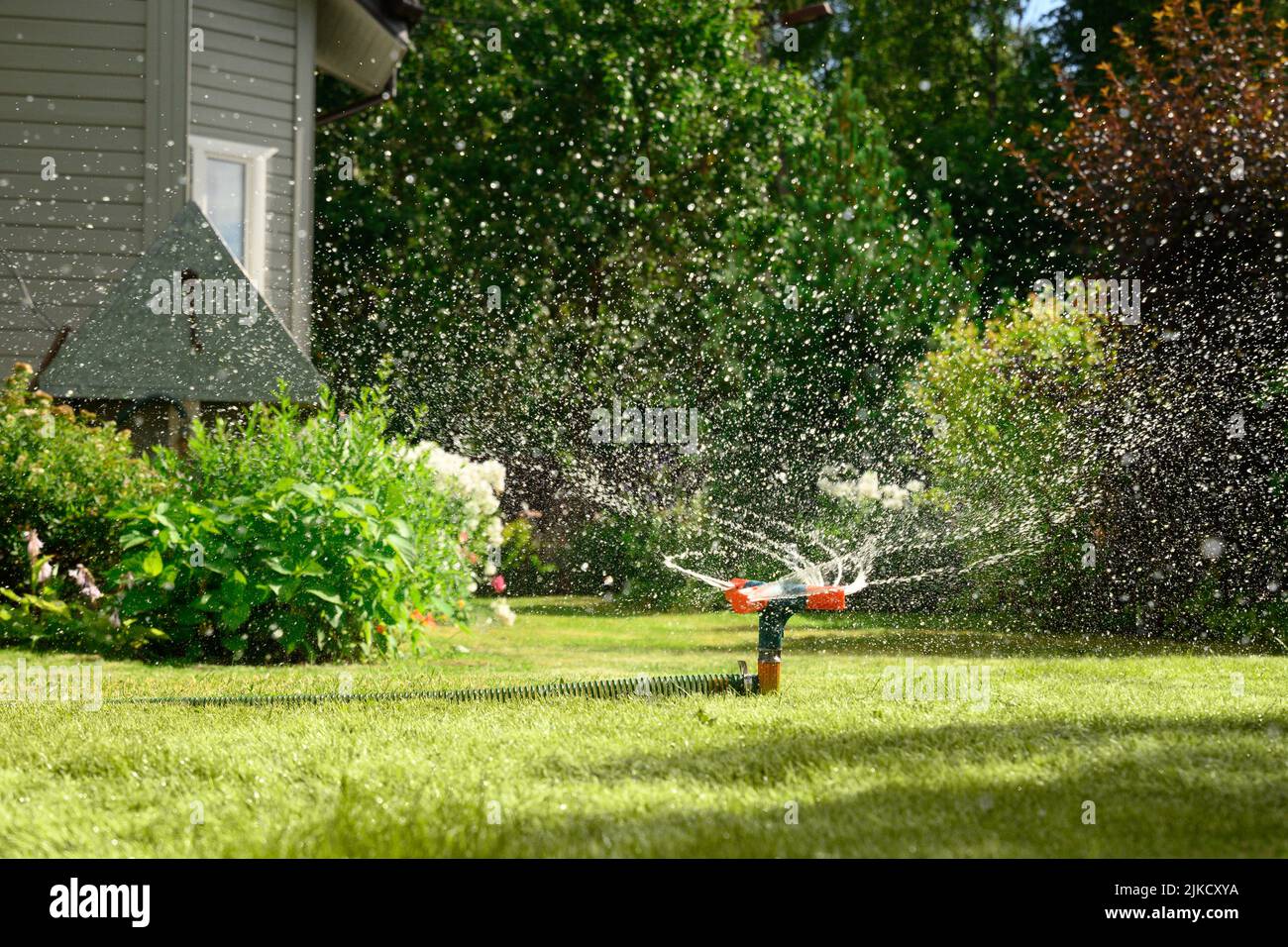 Watering garden with a hose at heat summer. Close up Stock Photo Alamy