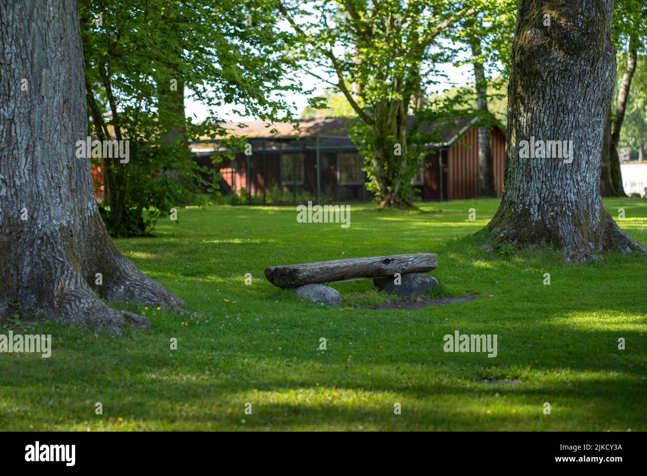 A bench in the park surrounded by old trees Stock Photo - Alamy