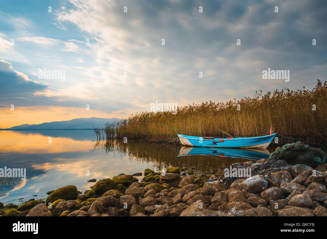 Reeds lake fishing boat global hi-res stock photography and images - Alamy