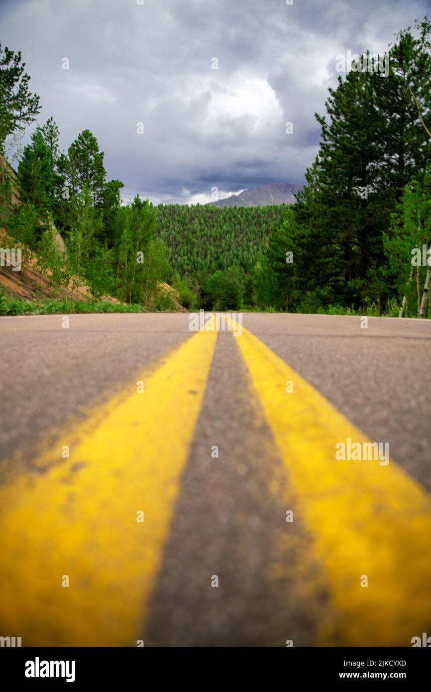 A vertical shot of a long asphalt road with a yellow line surrounded by ...