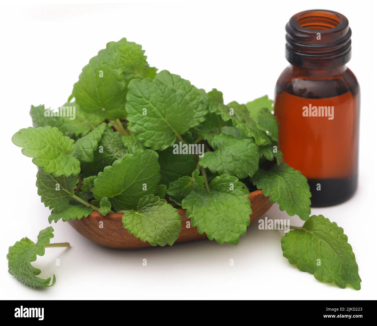 Lemon balm leaves with extracted essential oil in a bottle Stock Photo