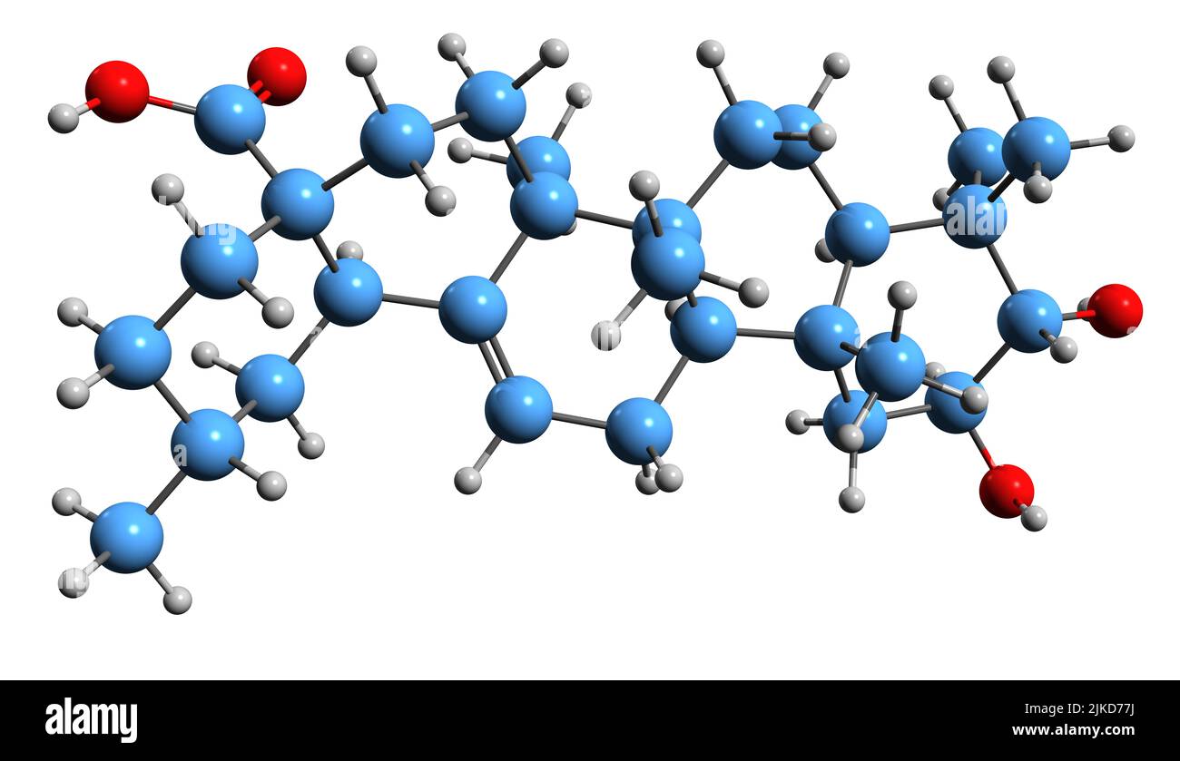 3D image of Maslinic acid skeletal formula - molecular chemical structure of olive-pomace oil compound isolated on white background Stock Photo