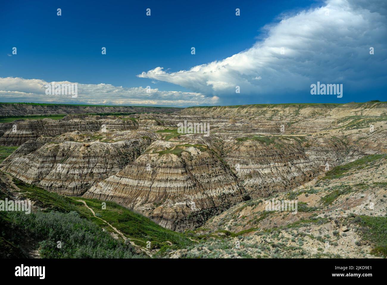 Horsethief Canyon in the Red Deer River Valley, Canadian Badlands on the North Dinosaur Trail, Drumheller, Alberta, Canada. Stock Photo