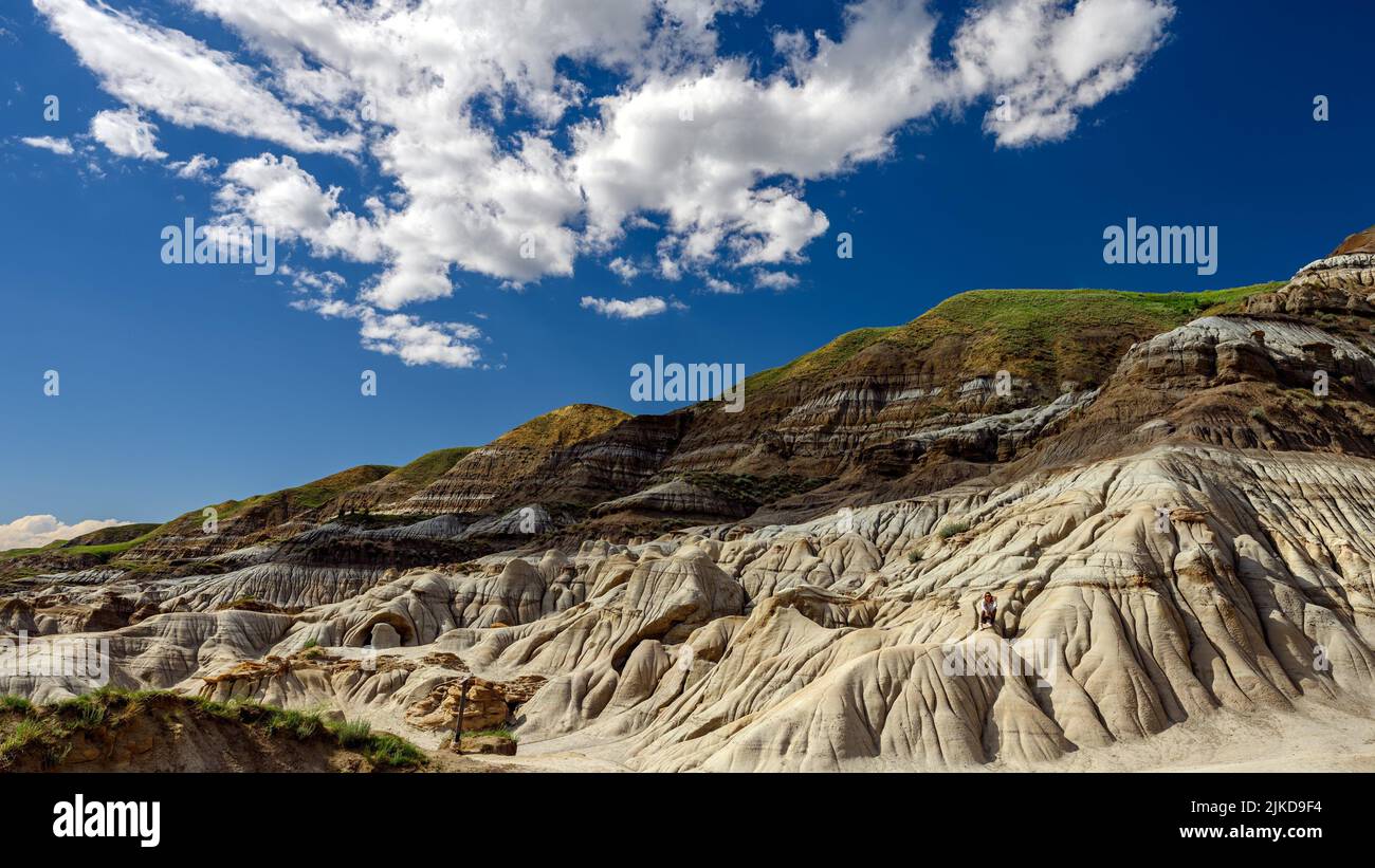 Sandstone Hoodoos and rock formations in the Canadian Badlands, Drumheller, Alberta, Canada. Stock Photo