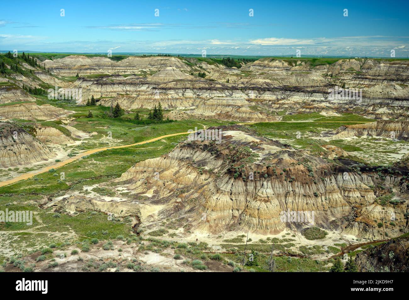 Horseshoe Canyon in the Red Deer River Valley, Canadian Badlands on the North Dinosaur Trail, Drumheller, Alberta, Canada. Stock Photo