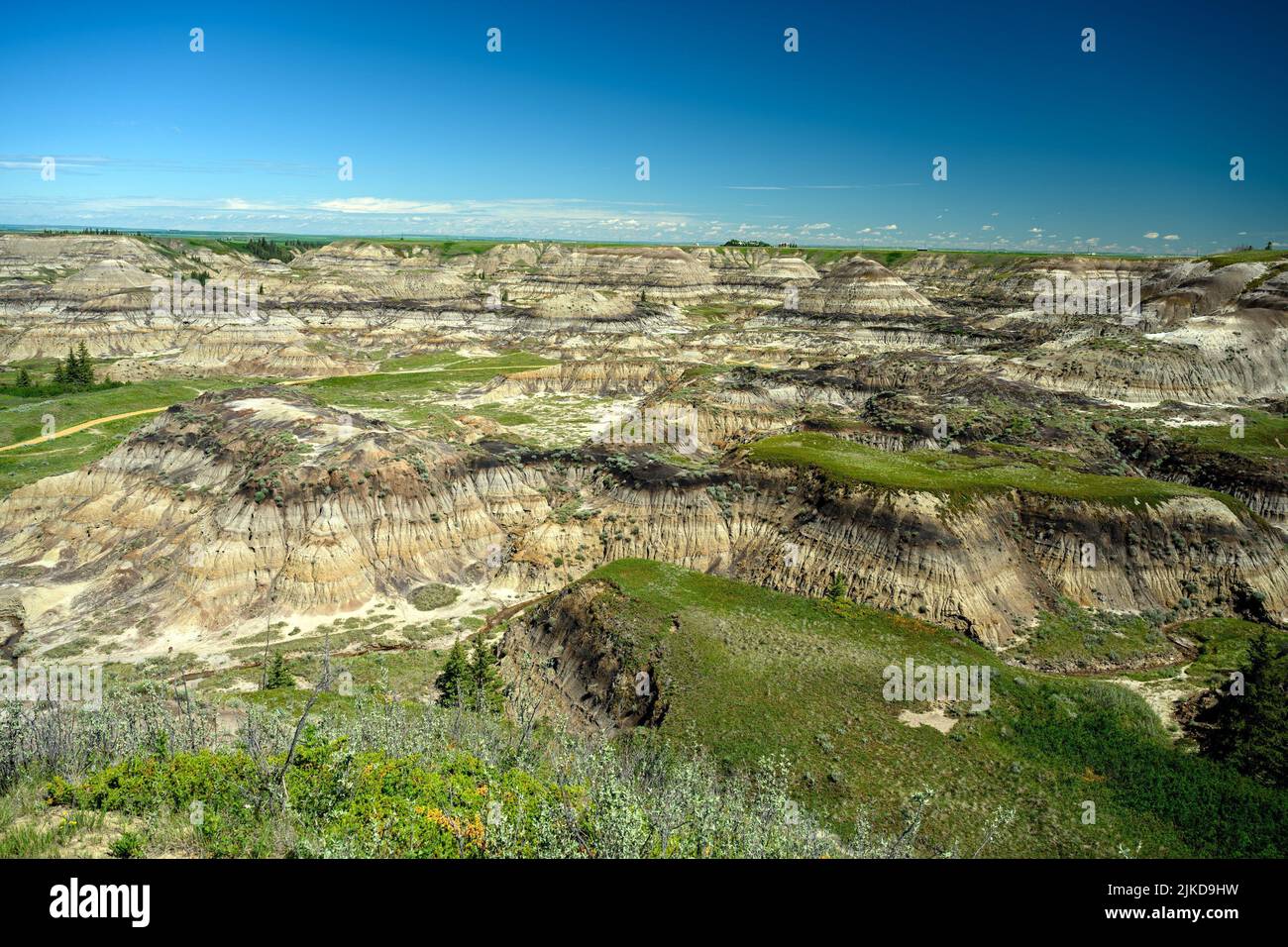 Horseshoe Canyon in the Red Deer River Valley, Canadian Badlands on the