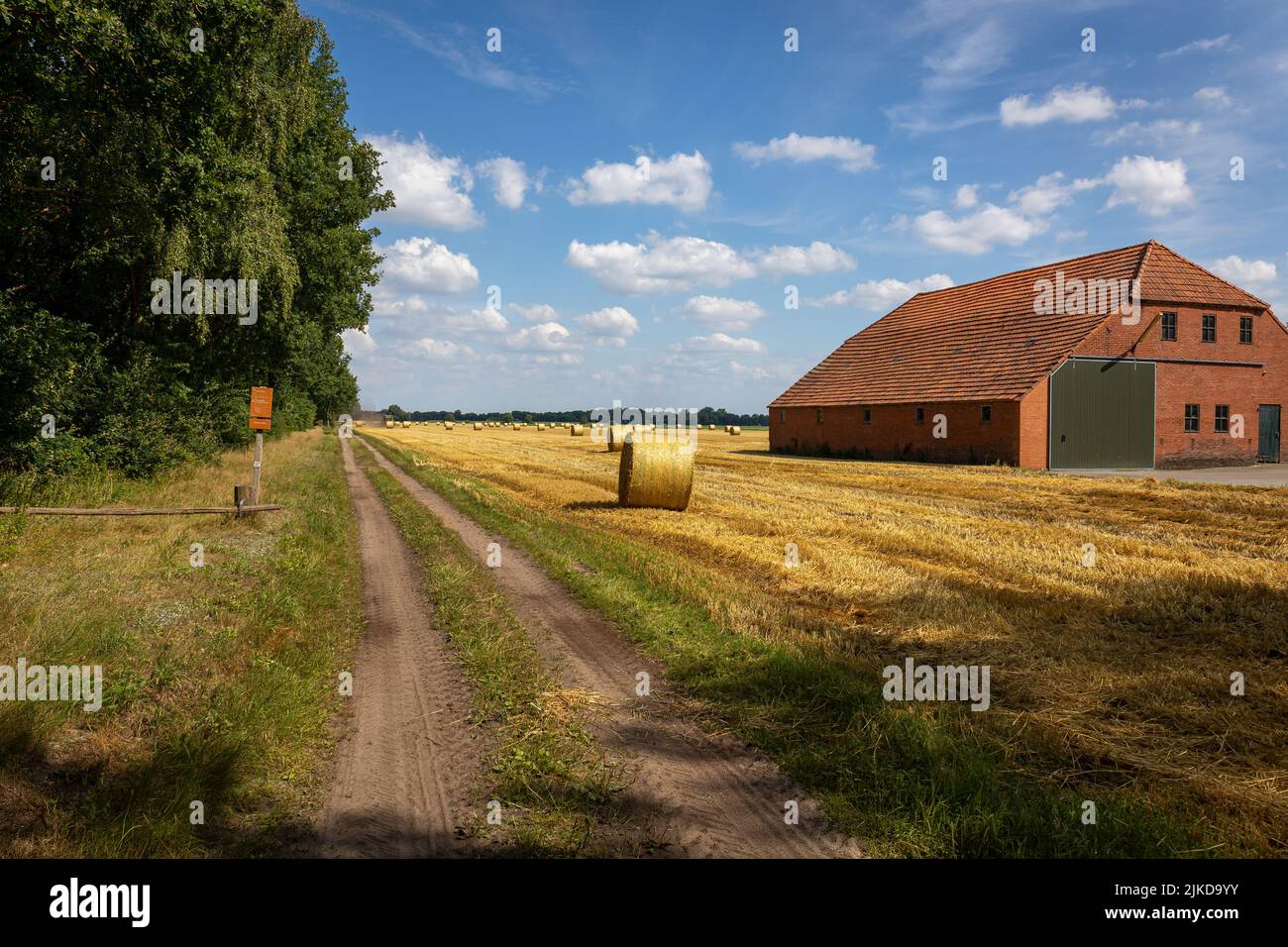 The farmer makes golden yellow straw bales from the straw on the farmland, after harvesting the grain. Stock Photo