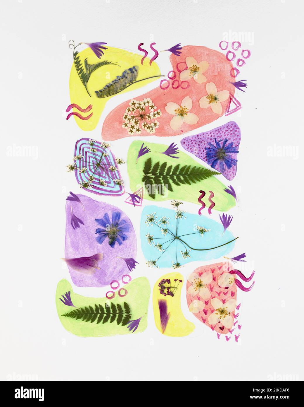 Contemporary botanical art of pressed flowers. Oshibana. Geometrical