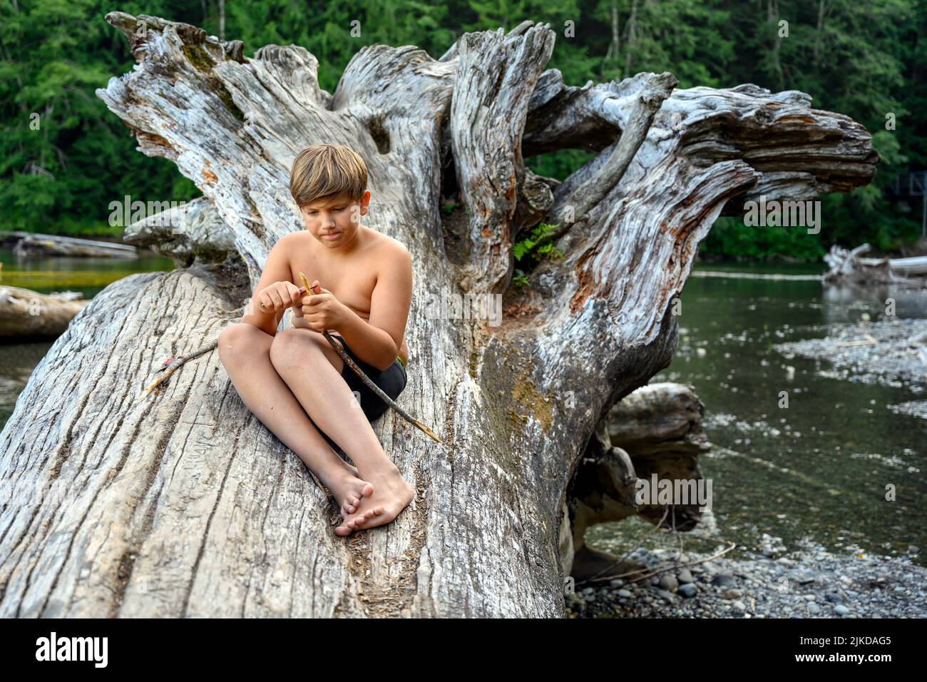 10 years old young boy at the campsite, sitting on a fallen tree trunk, and focusing on to carving a wooden stick for the grill with a small pocket Stock Photo