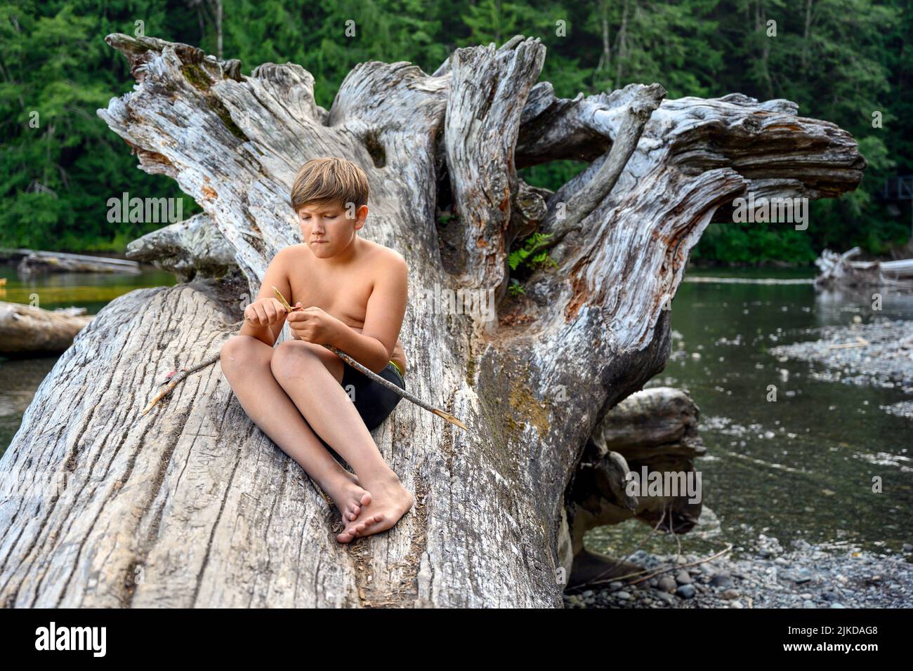 10 years old young boy at the campsite, sitting on a fallen tree trunk, and focusing on to carving a wooden stick for the grill with a small pocket Stock Photo
