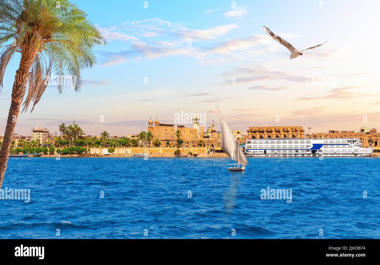 Luxor Temple on the bank of the Nile behind the palm tree, Upper Egypt. Stock Photo