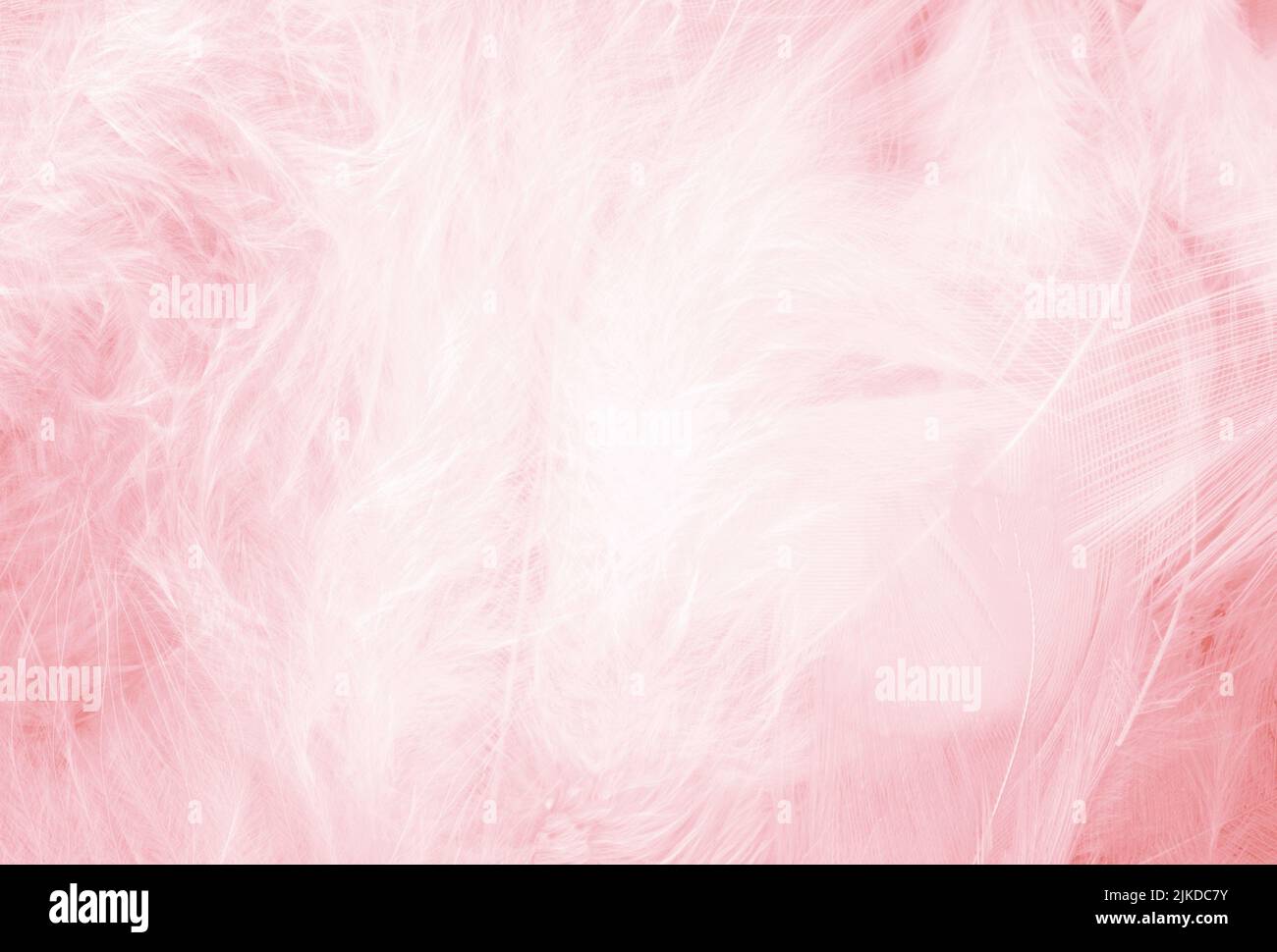 Coral pink vintage,feather pattern texture Stock Photo