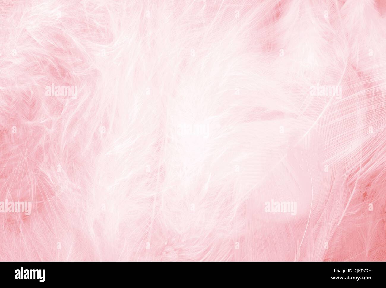 Light Pink Long Fibre Soft Fur Stock Photo - Download Image Now