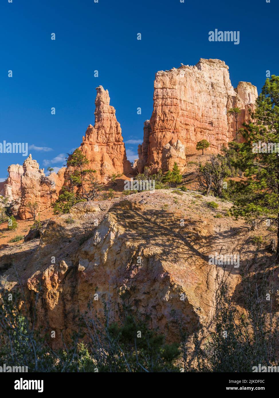 Mossy Cave Trail. Bryce Canyon National Park. Utah. USA. Stock Photo
