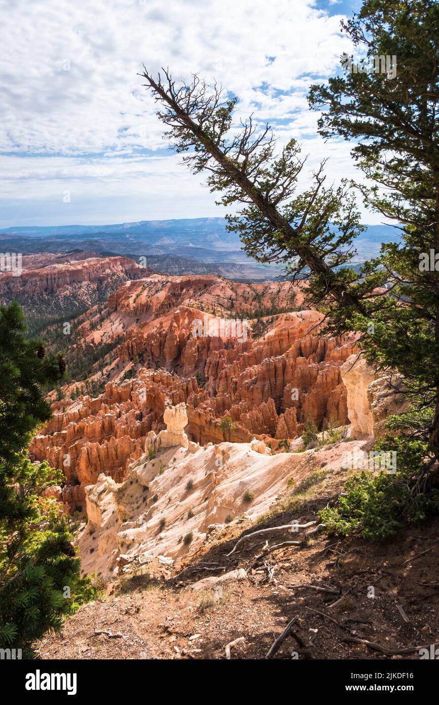 Bryce Point Overlook. Bryce Canyon National Park. Utah. USA. Stock Photo