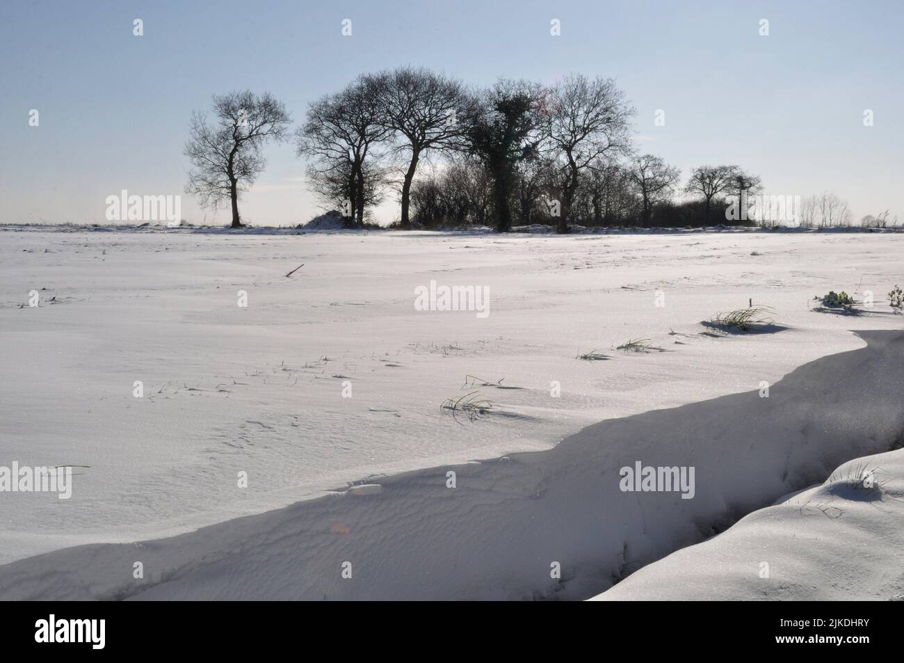 Fields under the snow in Brittany Stock Photo Alamy