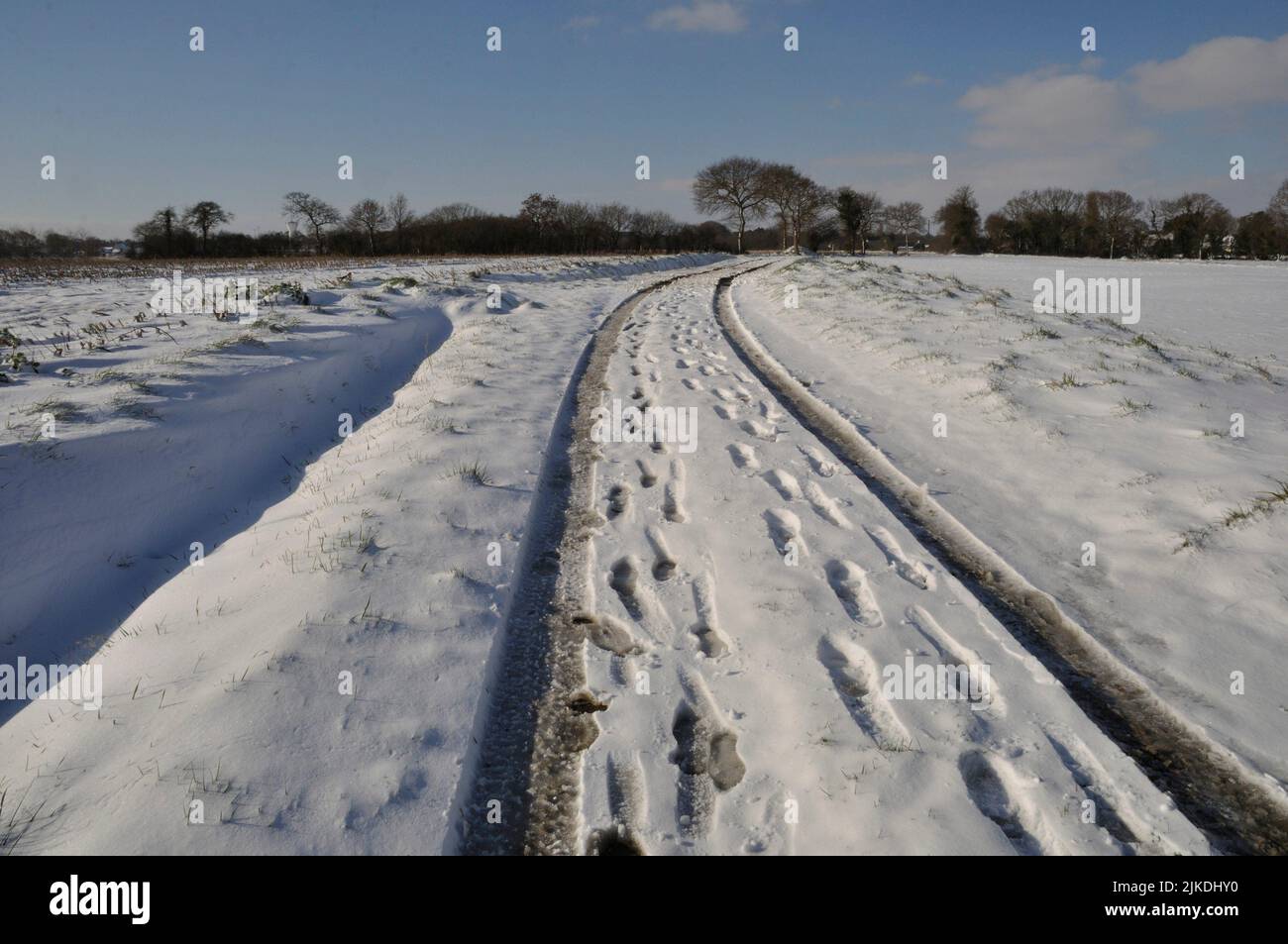 Path under the snow in Brittany Stock Photo Alamy
