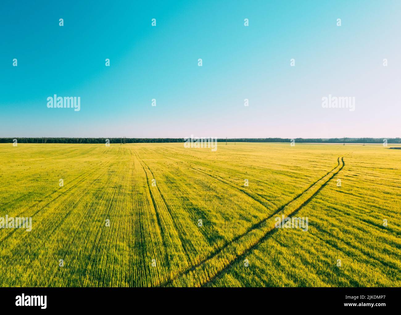 Clear sky above rural landscape in sunny summer evening. . Agricultural summer field. Aerial view of countryside road in field rural landscape Stock Photo