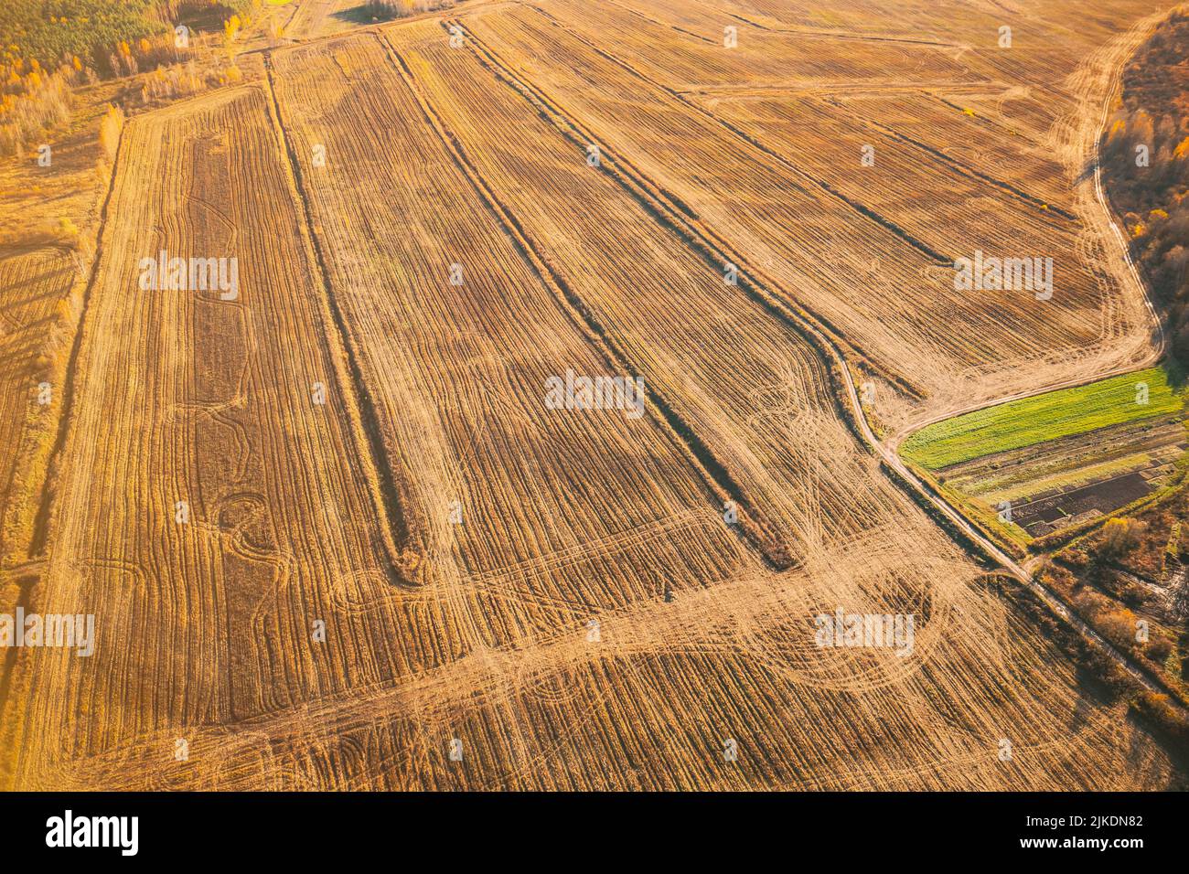 Aerial view autumn field landscape with trails lines. Top view of empty clean field in sunny autumn day. Drone view bird's eye view. High attitude in Stock Photo