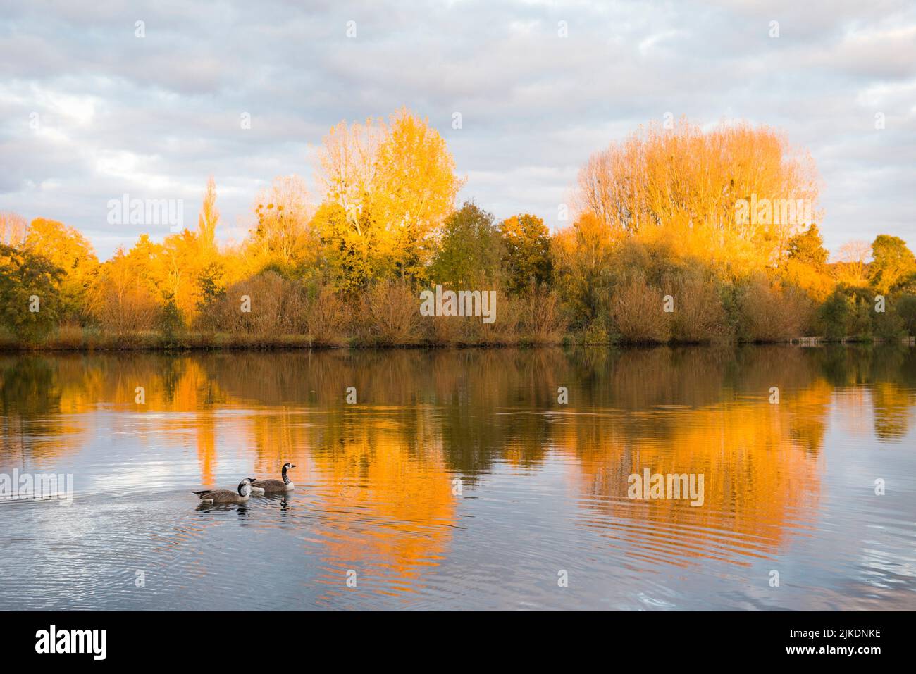 Pond of Chandelles by the Eure River, Eure-et-Loir department, Centre-Val-de-Loire region, France, Europe. Stock Photo