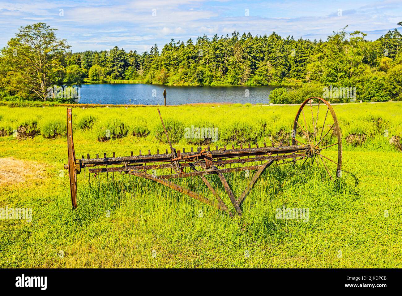 Old farm implement in a field. Antique hay rake. Stock Photo