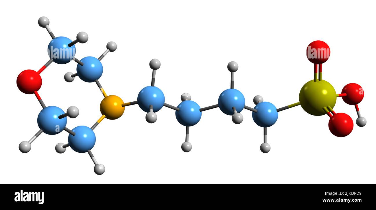 3D image of MOBS skeletal formula - molecular chemical structure of buffering agent isolated on white background Stock Photo