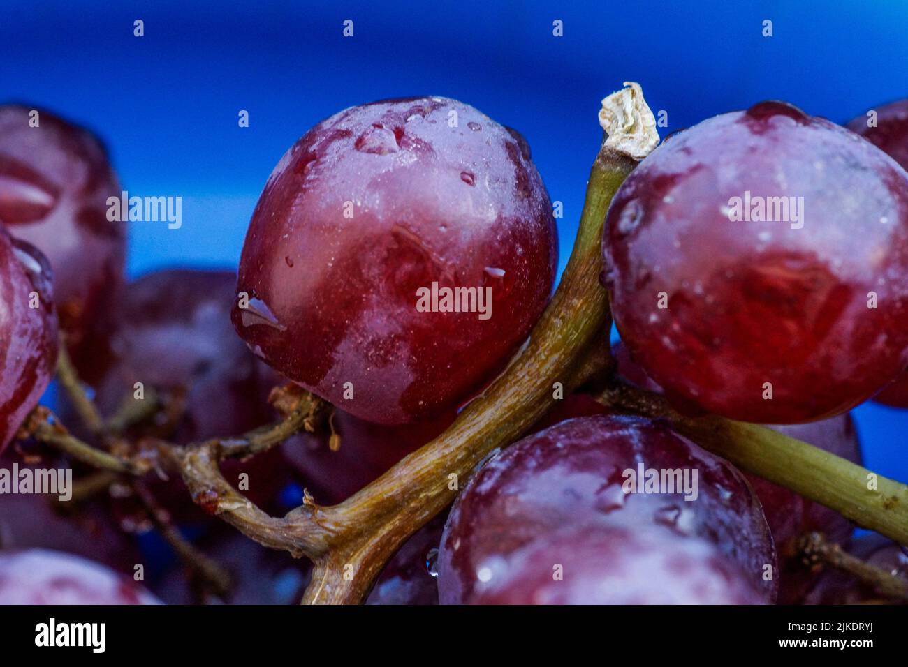 Red seedless grapes. Still life. Telephoto. Stock Photo
