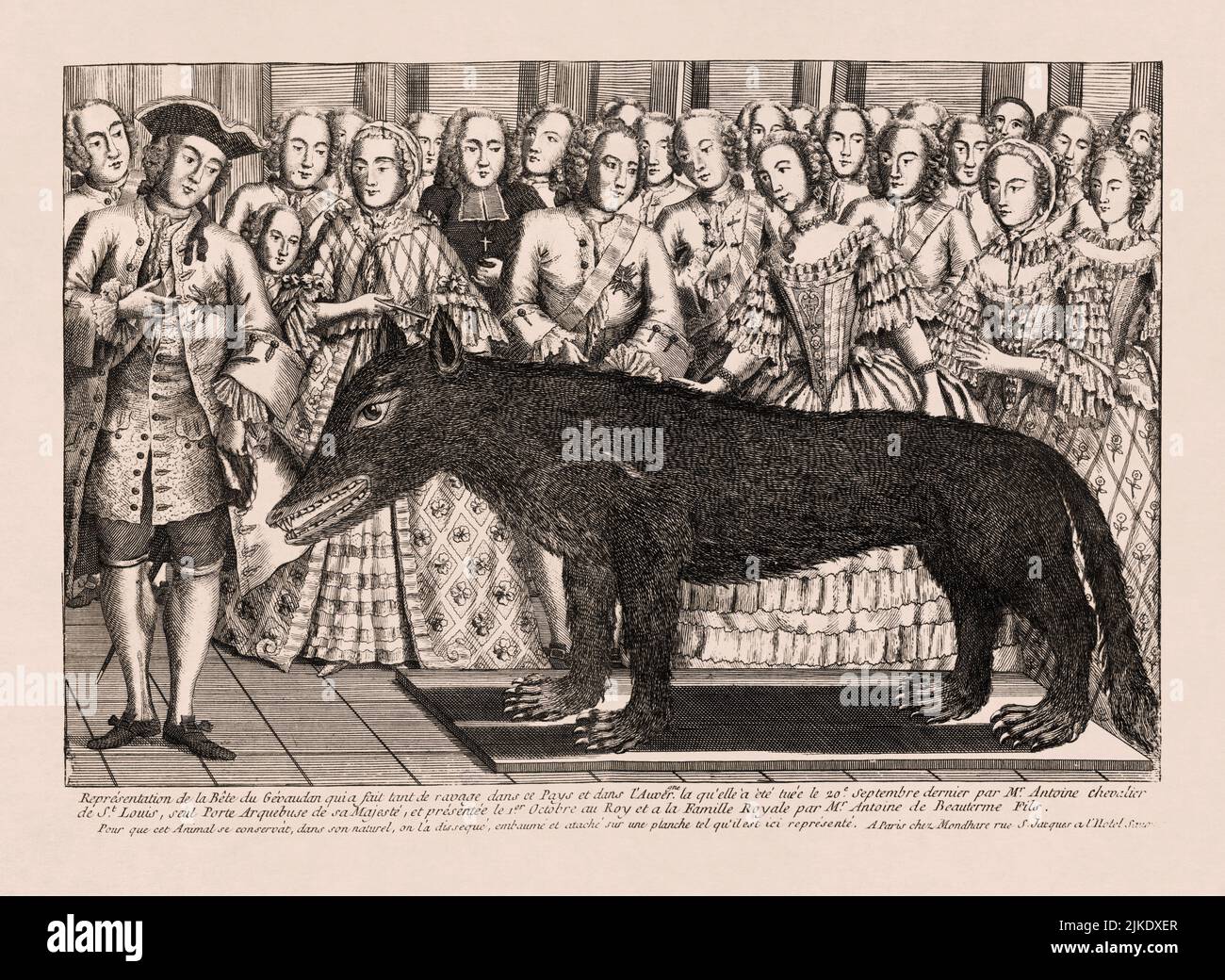 Wolf of Chazes, shot by M. François Antoine de Beauterne, displayed at the court of Louis XV. The copper engraving dating from 1765 during the facts. Stock Photo