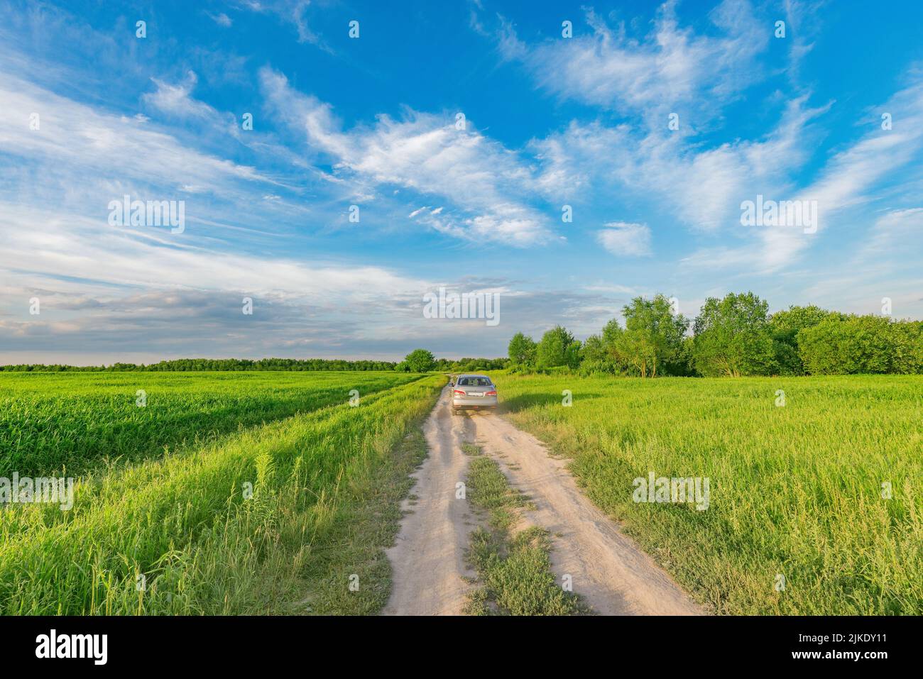 Dry road in the field at sunset Stock Photo - Alamy