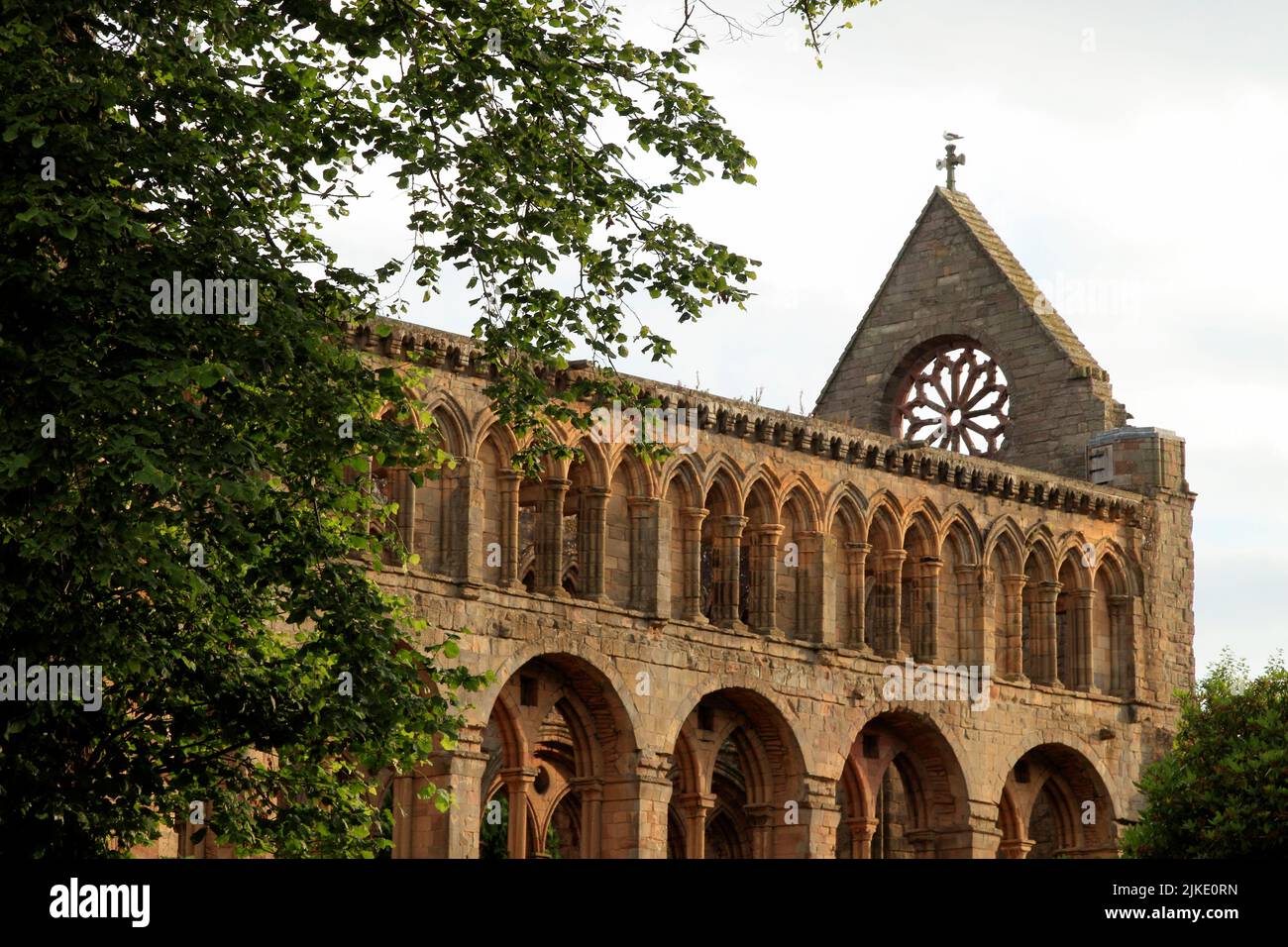 Ruins of Jedburgh Abbey, an Augustinian abbey in the Scottish Borders